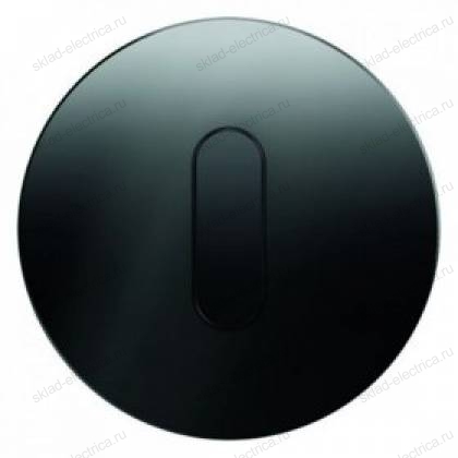 Поворотный выключатель на 2 направления Berker R.classic черное стекло 387500 + 10012055