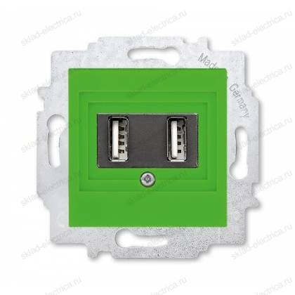 Розетка USB 2-ая (для подзарядки), цвет Зеленый/Дымчатый черный, Levit