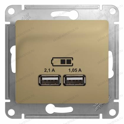 Розетка USB титан Glossa Schneider Electric GSL000433