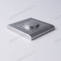 Рамка одинарная Werkel Stark, серебряный a031802 WL04-Frame-01