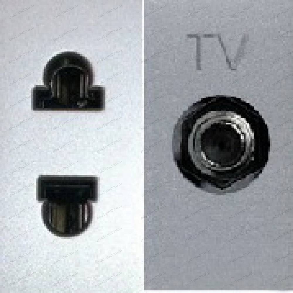 Розетка TV одиночная + розетка ABB Zenit серебряный N2150.7PL + N2135PL + N2271.9